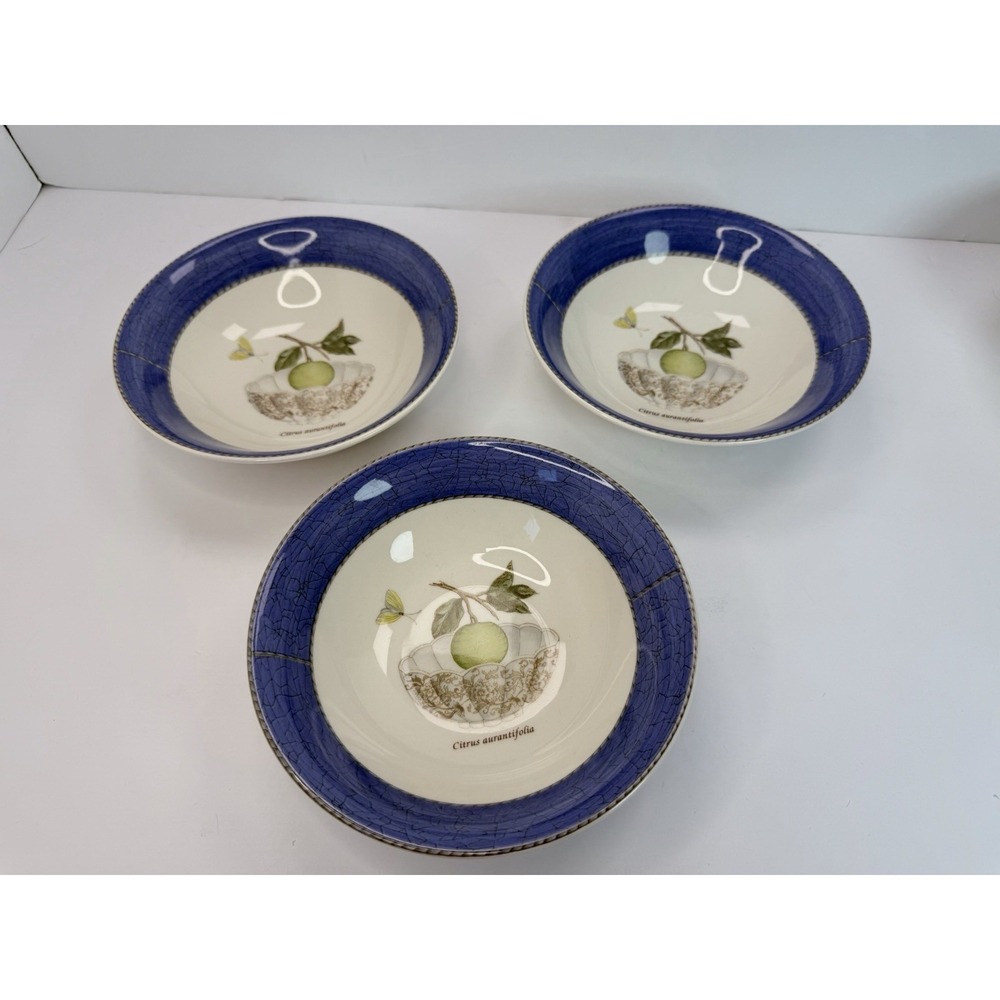 Wedgwood Sarah's Garden 6.75" Coupe Cereal Bowls Blue Rim Lot Of 3
